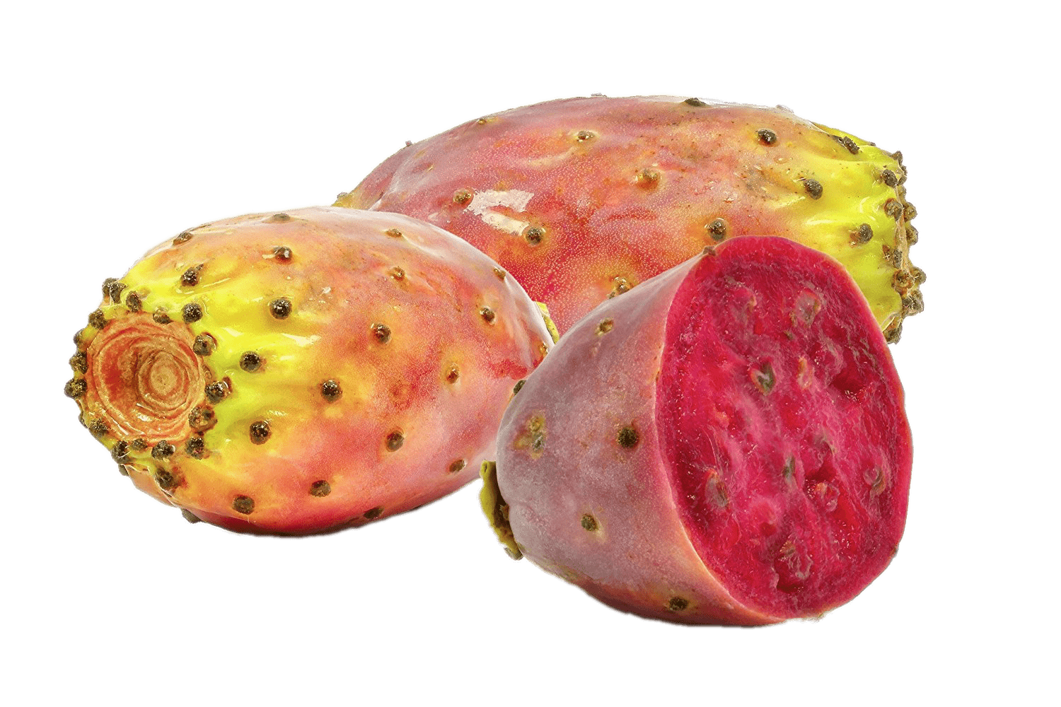 PREACKLY PEAR